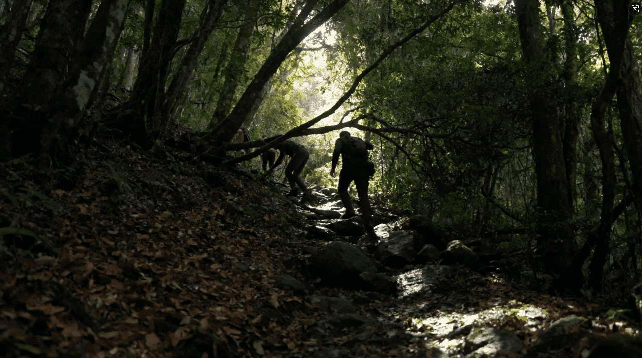 快连官方网站网址查询详解与最新入口推荐指南